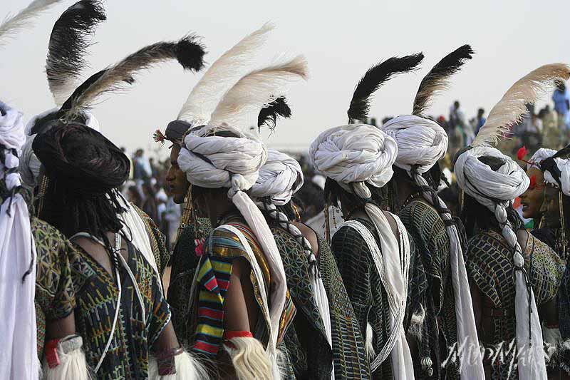 Mud Maps Africa Gaddafi camel party 3413
